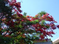 DSC03501.JPG